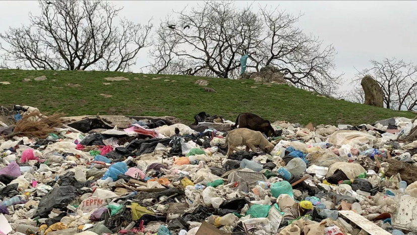 В Нижегородской области ликвидировали более 860 несанкционированных свалок в 2022 году