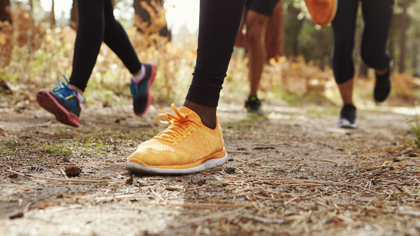 Ночной ультрамарафон Crazy Owl Zavidovo пройдёт 10—11 июня в Тверской области