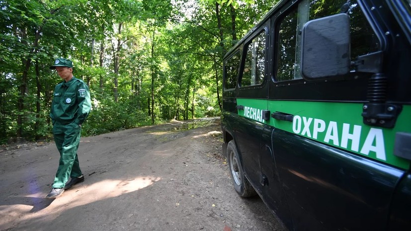 Депутат Бурматов предложил увеличить число лесничих