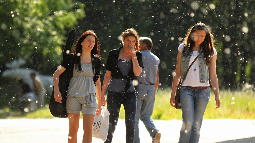 Иммунолог Шабалина: тополиный пух может быть переносчиком аллергенов