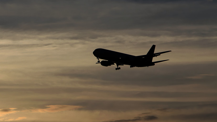 В аэропорту Читы самолёт не смог приземлиться из-за собак на взлётно-посадочной полосе