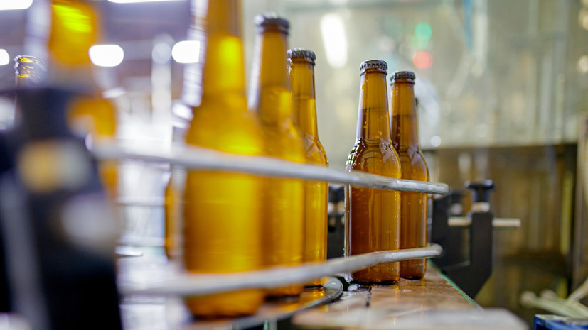 Эксперт Шапкин высказался об идее возобновить проверки производителей пива и сидра