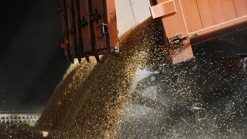 МИД: Россия примет решение о продлении зерновой сделки только исходя из своих интересов