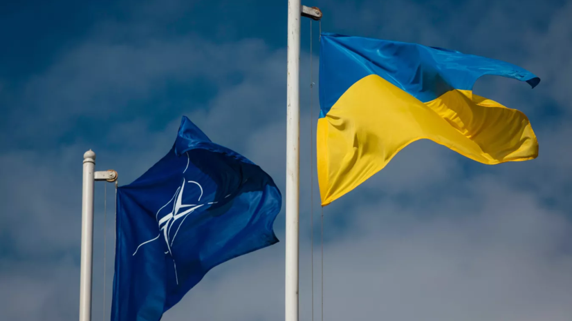 Замгенсека Джоанэ: в НАТО нет консенсуса по вопросу присоединения Украины к альянсу