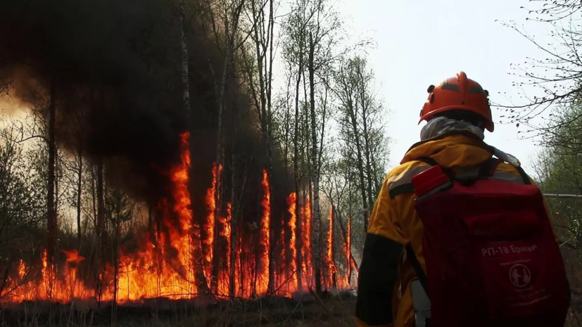 Площадь пожаров на востоке Казахстана сократилась до 43 тысяч гектаров