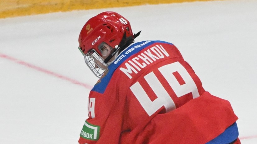 Николишин заявил, что Мичков испортил себе репутацию