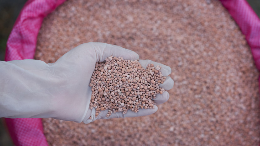 В России обсуждают отказ от экспортных пошлин на удобрения