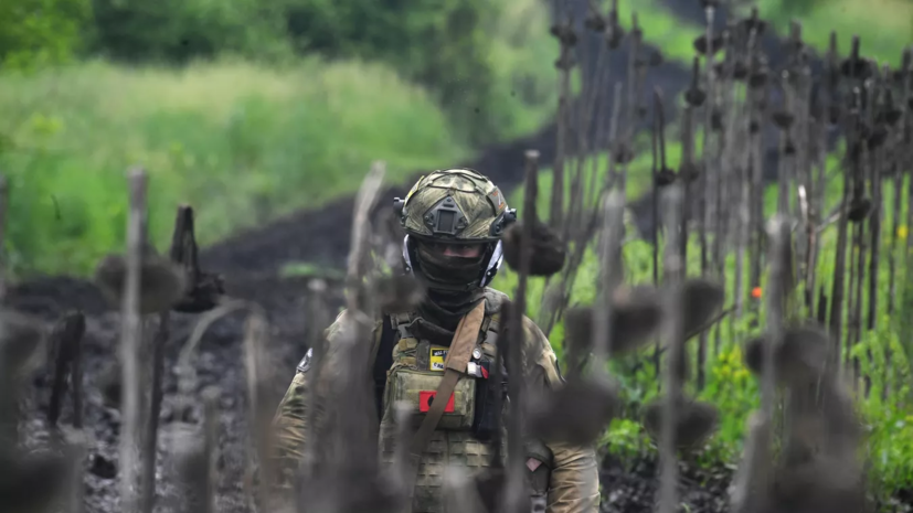 Минобороны: ВС России за сутки отразили пять атак ВСУ на Донецком направлении