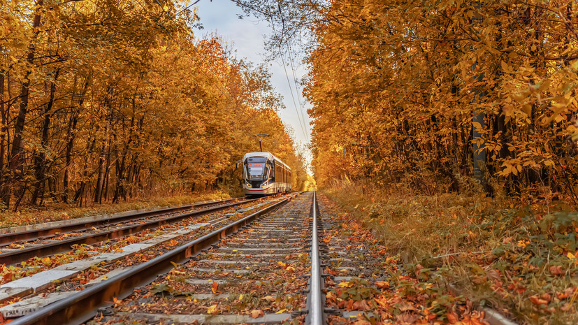 Глава Москомархитектуры Княжевская: на востоке Москвы появится новая трамвайная линия
