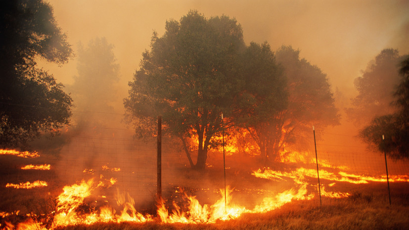 Десять природных пожаров потушили за сутки в Свердловской области