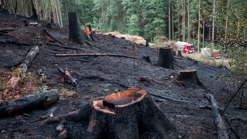 В Авиалесохране дали разъяснение по поводу квалификации природных пожаров