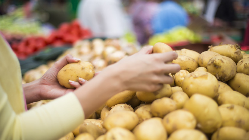 Нутрициолог Свиридова дала рекомендации по выбору сезонных продуктов