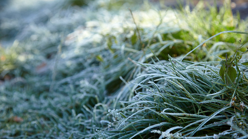 Синоптики предупредили о заморозках до -2 °С в Башкирии