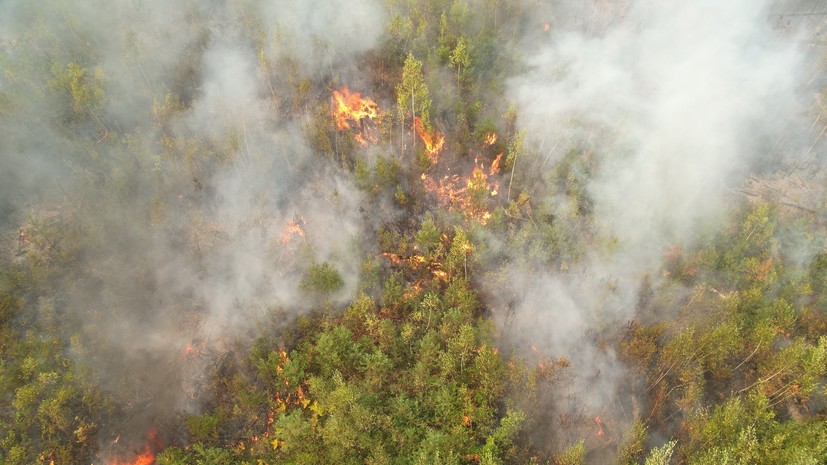 Эколог Нагибин: рост числа пожаров в России происходит на фоне изменений климата
