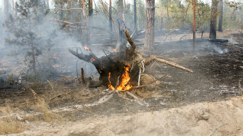 В России за сутки потушили 40 природных пожаров