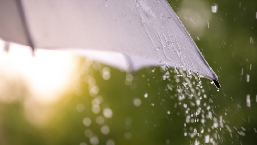 На юге Тюменской области ожидаются штормовой ветер и грозы