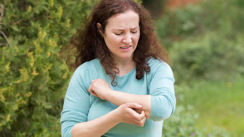 Аллерголог Грек рассказала об эффективности эфирных масел при отпугивании комаров