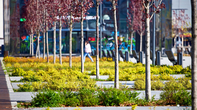 У ТПУ «Планерная» появится новое общественное пространство