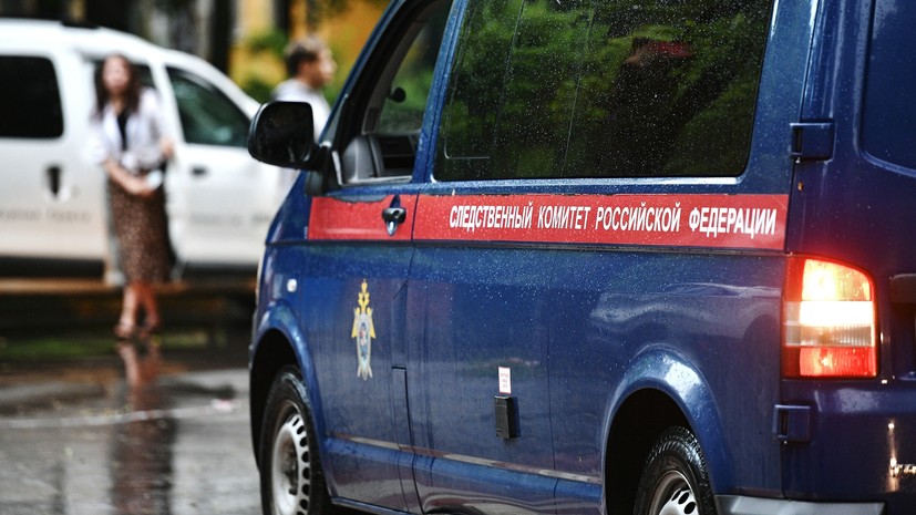 Опекуншу погибшего в Екатеринбурге мальчика обвинили в убийстве, истязании и мошенничестве