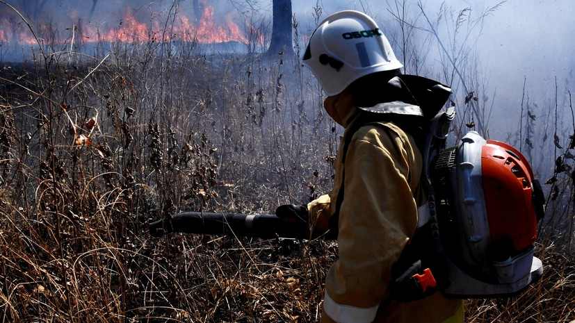 На севере Нижегородской области сохраняется чрезвычайная пожароопасность лесов