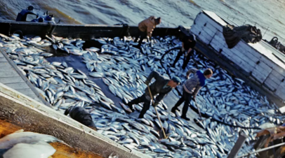 Минсельхоз России заявил о росте экспорта рыбы в дружественные страны на 40% в 2022 году