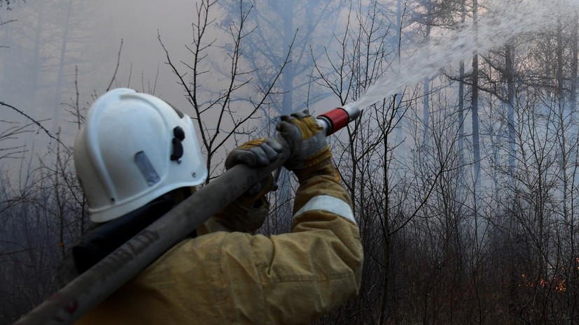 Площадь лесных пожаров в Якутии и на Дальнем Востоке снизилась за последние пять лет