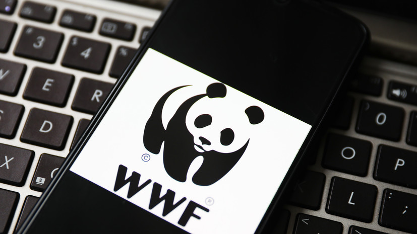 Минюст внёс WWF в перечень нежелательных в России организаций