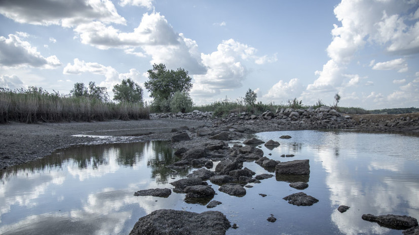 В реке в Ростовской области нашли холероподобную микрофлору