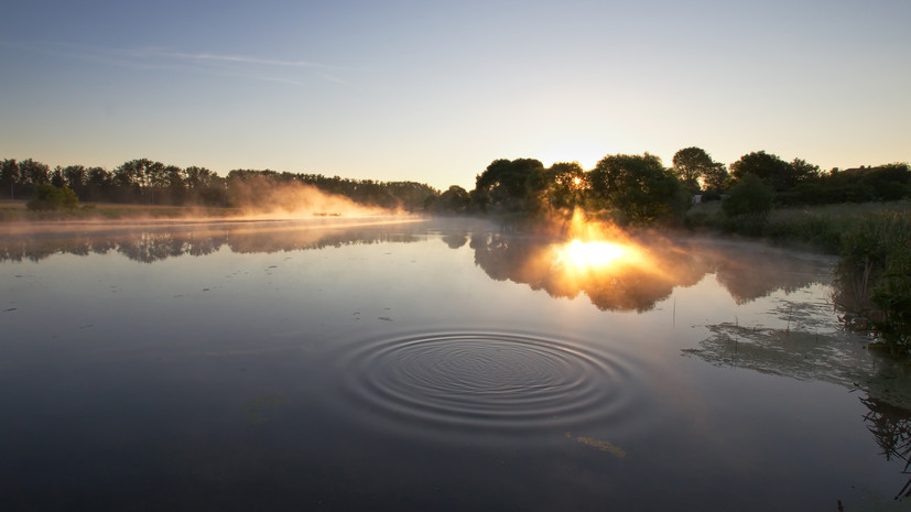 В Подмосковье расчистят 40 водоёмов по региональной программе