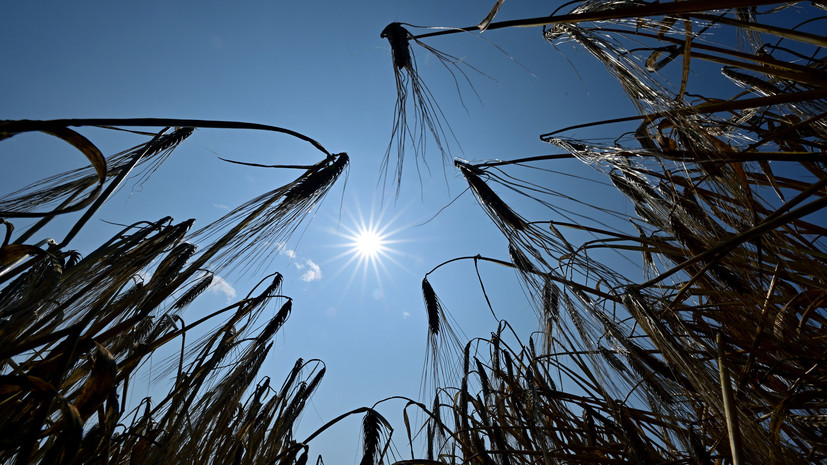 В Оренбургской области 10 июля ожидается до +42 °C