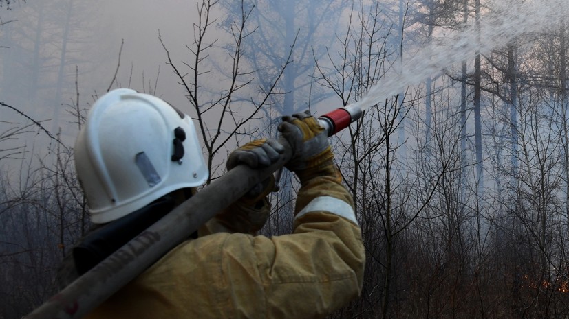 Специалист Куксин: с помощью системы грозопеленгации можно сократить число лесных пожаров