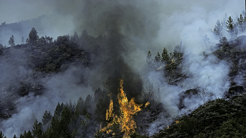 В Башкирии действуют пять лесных пожаров площадью 132 гектара