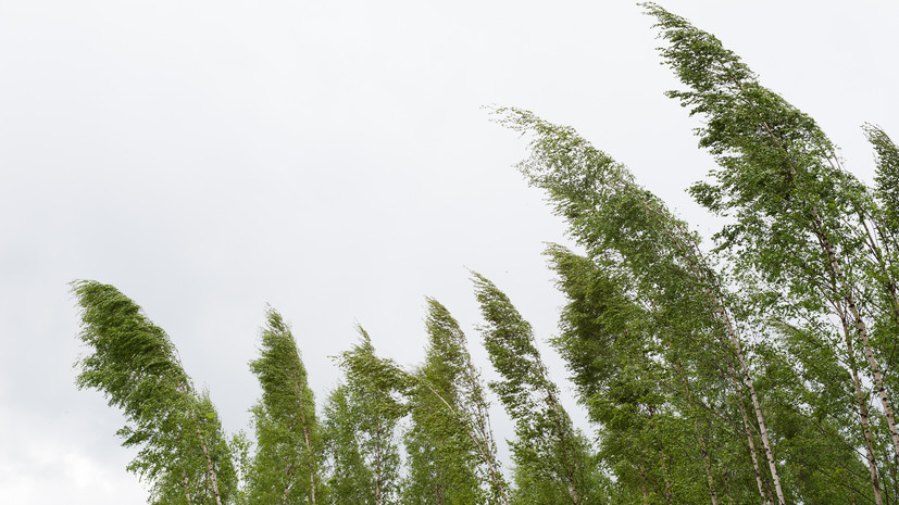 В Самарской области 12 июля объявлен жёлтый уровень опасности из-за сильного ветра