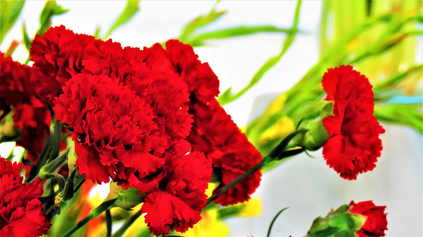 В Нижнем Новгороде поздравили ветерана Великой Отечественной войны с 95-летием