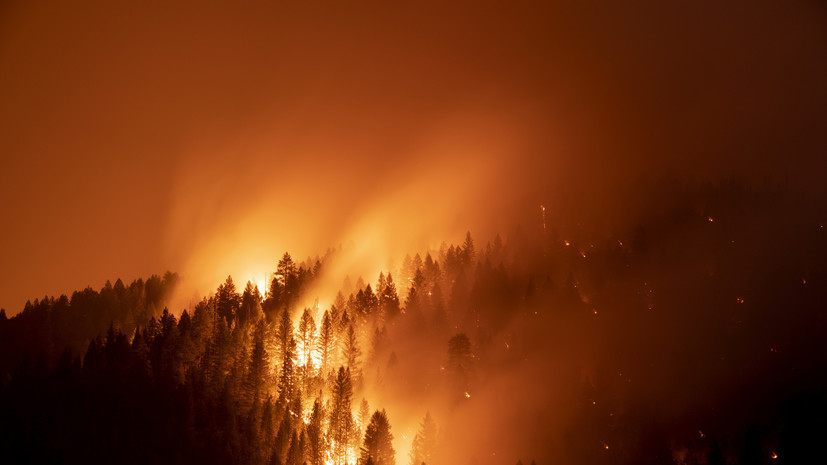 На Канарах эвакуировали свыше 2 тысяч человек из-за лесного пожара
