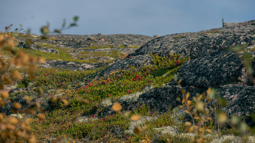Глава мурманской Териберки пожаловалась на оставляющих горы мусора «диких» туристов