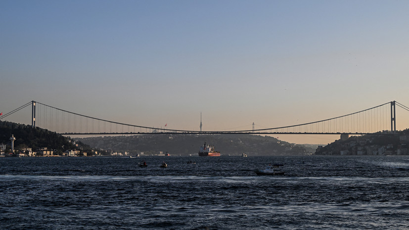 ТАСС: остановка зерновой сделки может спровоцировать новые запреты на импорт с Украины в ЕС