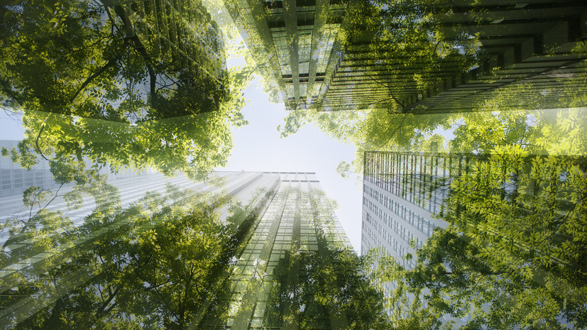 Аналитик Деев объяснил, как расшифровывается аббревиатура ESG