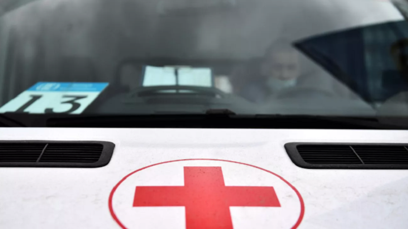 В Курганской области за полгода выросло число укушенных животными жителей на 17,9%