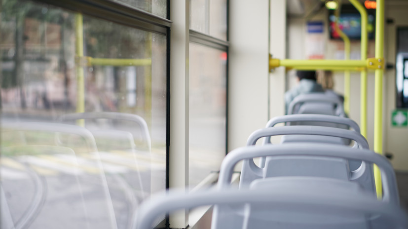 В Новосибирске разбираются в причинах гибели собаки-поводыря при входе в троллейбус