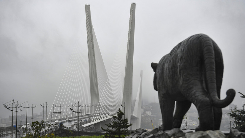 Во Владивостоке появится мемориал памяти погибших во время СВО