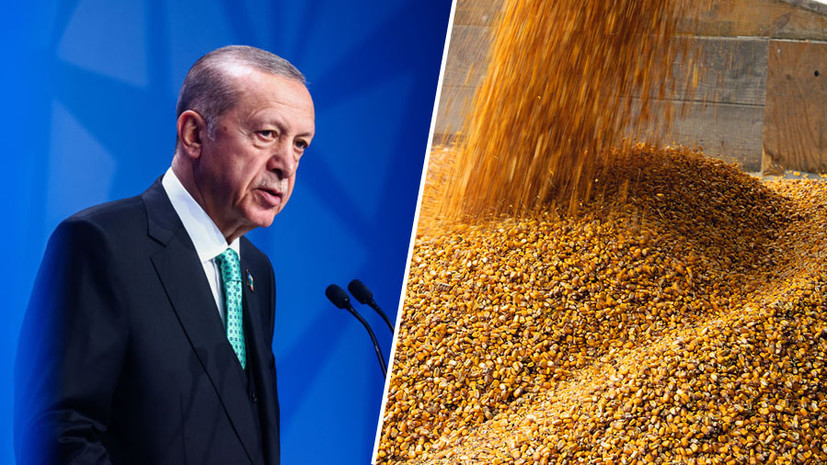 Диалоги о поставках: Эрдоган заявил о намерении обсудить с Путиным зерновую сделку