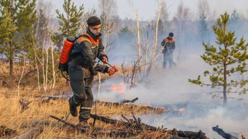 Власти Ханты-Мансийского автономного округа сняли введённый из-за пожаров в лесах режим ЧС