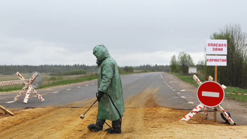 ТАСС: в Монголии на границе с Россией обнаружили патоген бубонной чумы