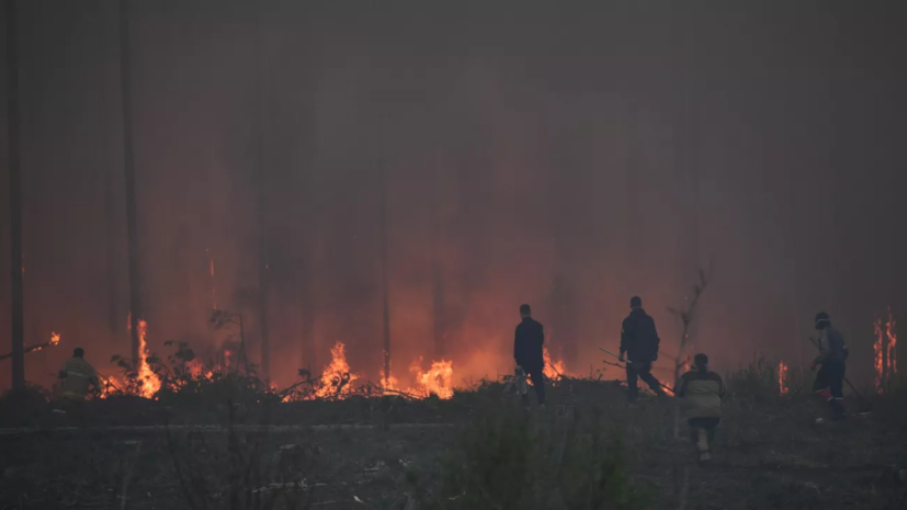 В России за сутки ликвидировали 64 лесных пожара