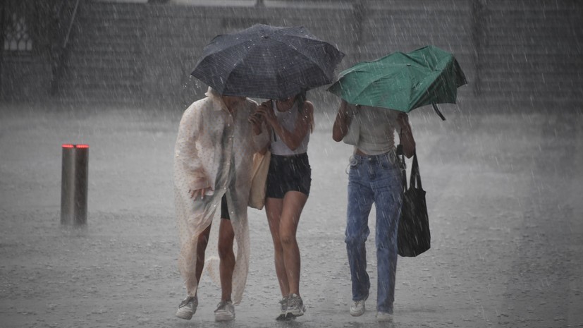 Синоптик Позднякова спрогнозировала волну тепла в Москве после дождей