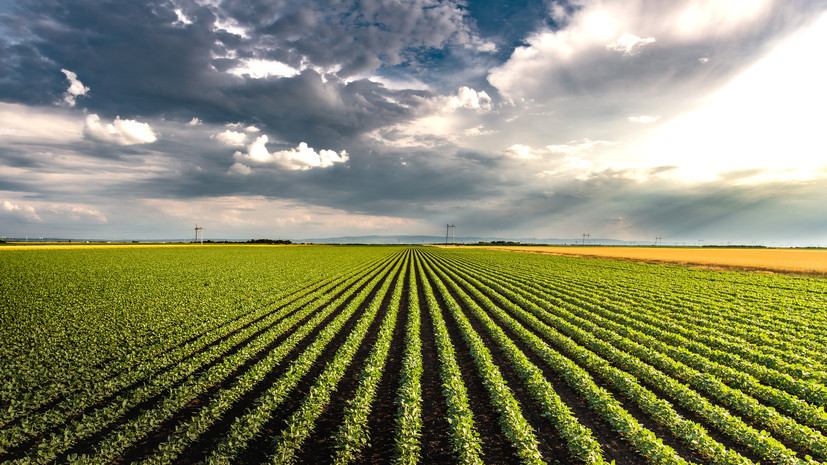 На Кубани 570 млн рублей направили на развитие сельских территорий в этом году