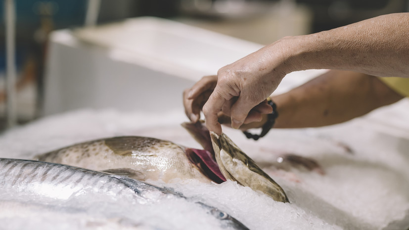 Россия запретила ввоз продукции из рыбы и морепродуктов из недружественных стран