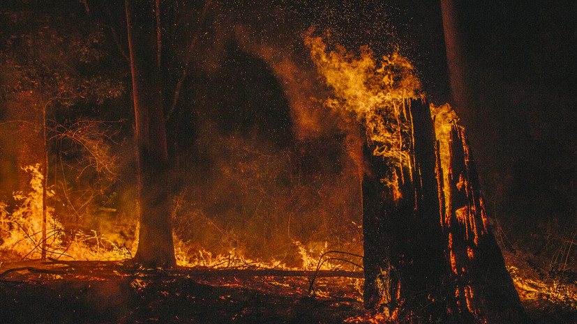 На материковой части Греции из-за лесных пожаров прошли эвакуации