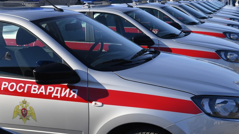 Совфед одобрил законопроект о праве Росгвардии иметь тяжёлую военную технику